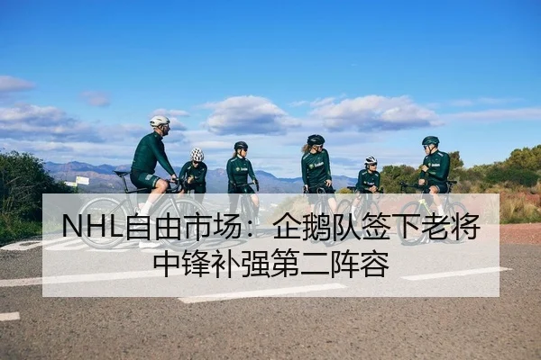 NHL自由市场：企鹅队签下老将中锋补强第二阵容
